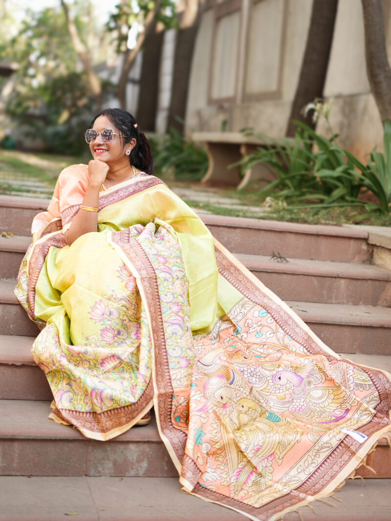 Dola Rico Zari Phulkari Saree - DRZPS04