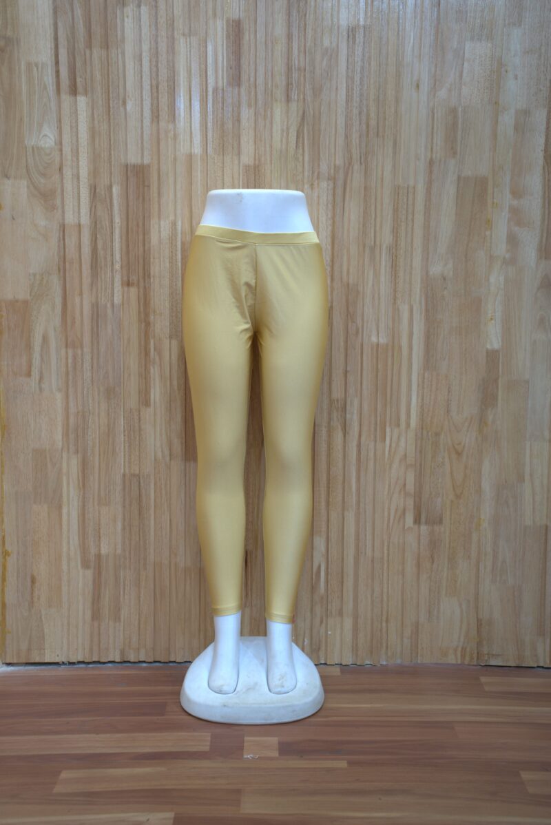 Shimmer Ankle Length Leggings - SALL15