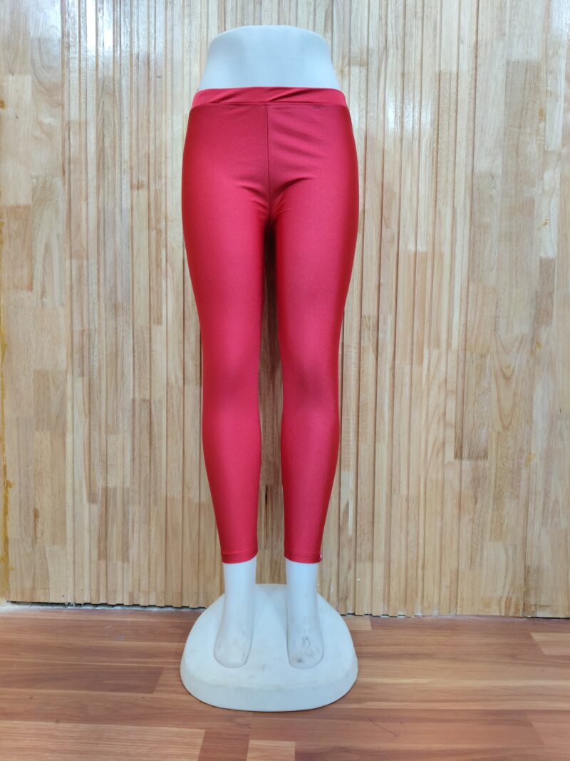 Shimmer Ankle Length Leggings - SALL01