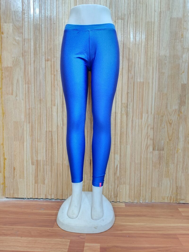 Shimmer Ankle Length Leggings - SALL03