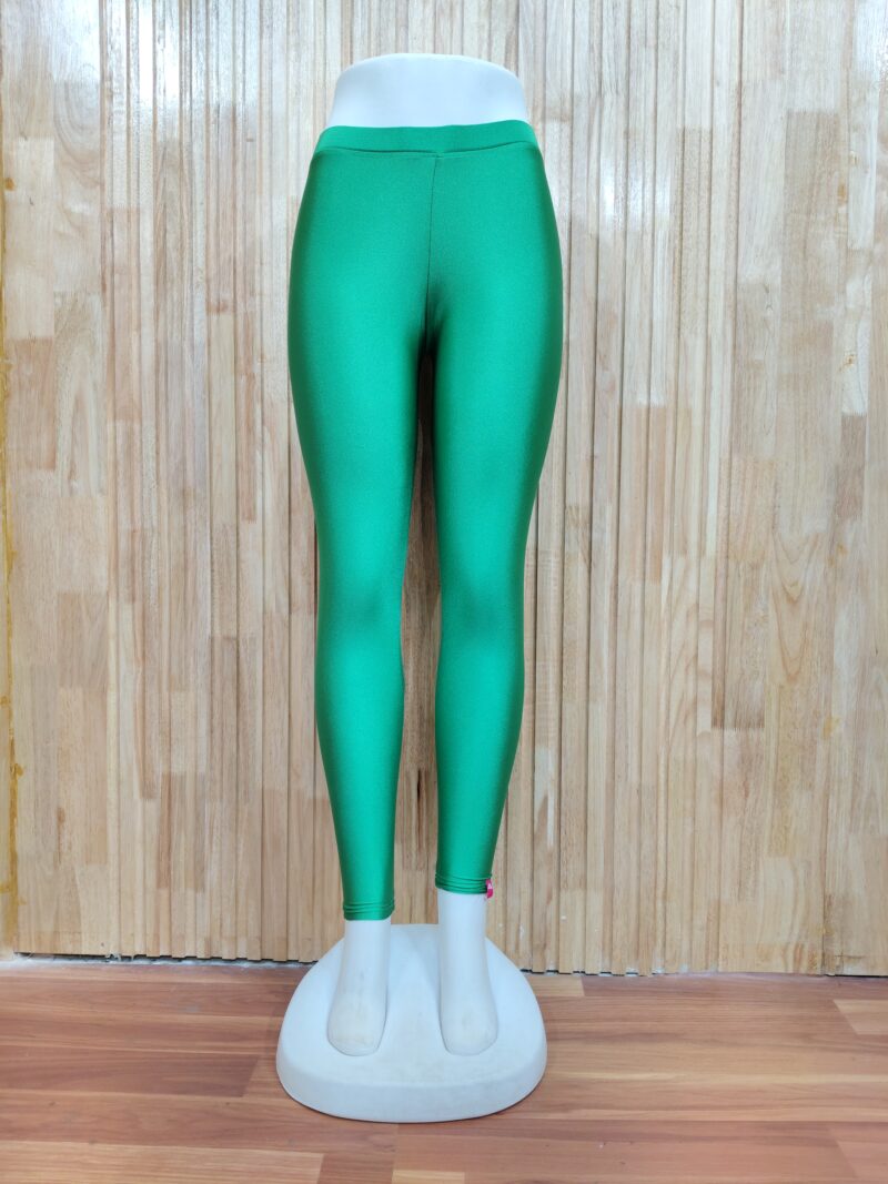 Shimmer Ankle Length Leggings - SALL07