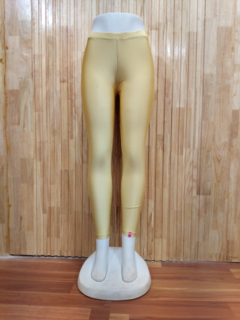 Shimmer Ankle Length Leggings - SALL14