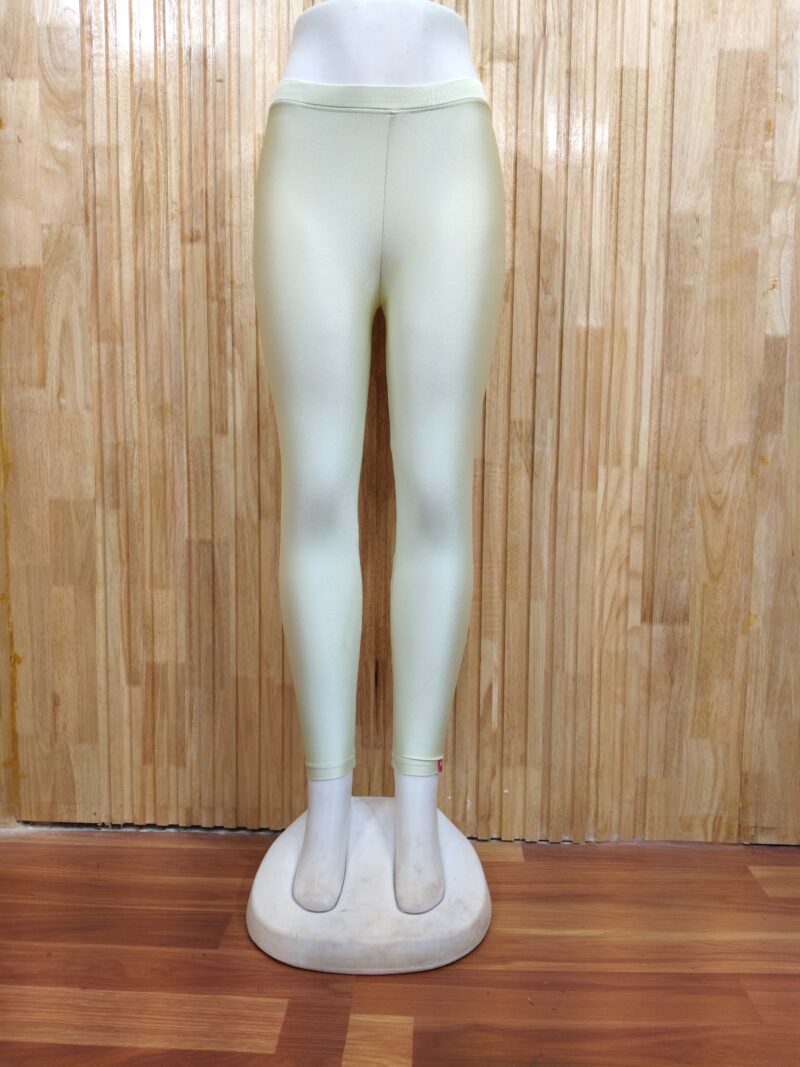 Shimmer Ankle Length Leggings - SALL13