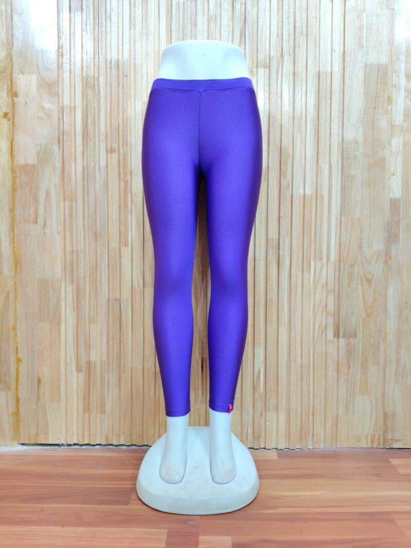 Shimmer Ankle Length Leggings - SALL21